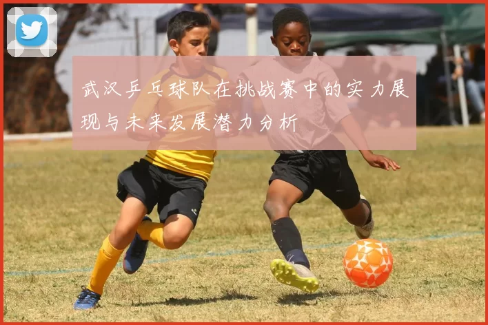 武汉乒乓球队在挑战赛中的实力展现与未来发展潜力分析