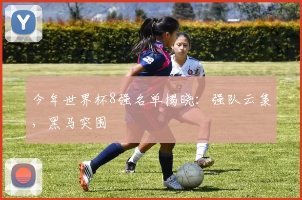 今年世界杯8强名单揭晓:强队云集,黑马突围
