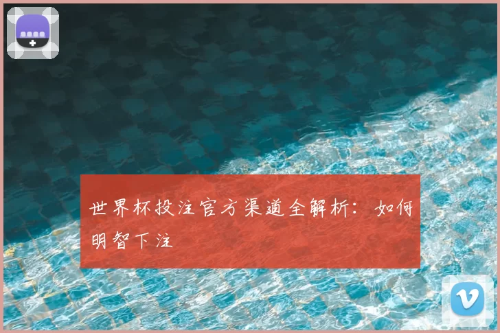 世界杯投注官方渠道全解析：如何明智下注