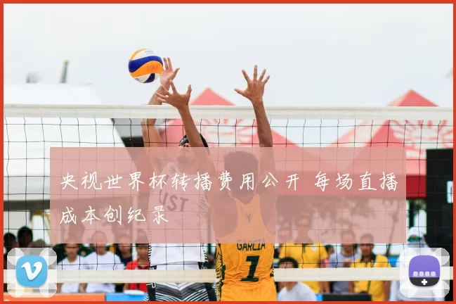 央视世界杯转播费用公开 每场直播成本创纪录