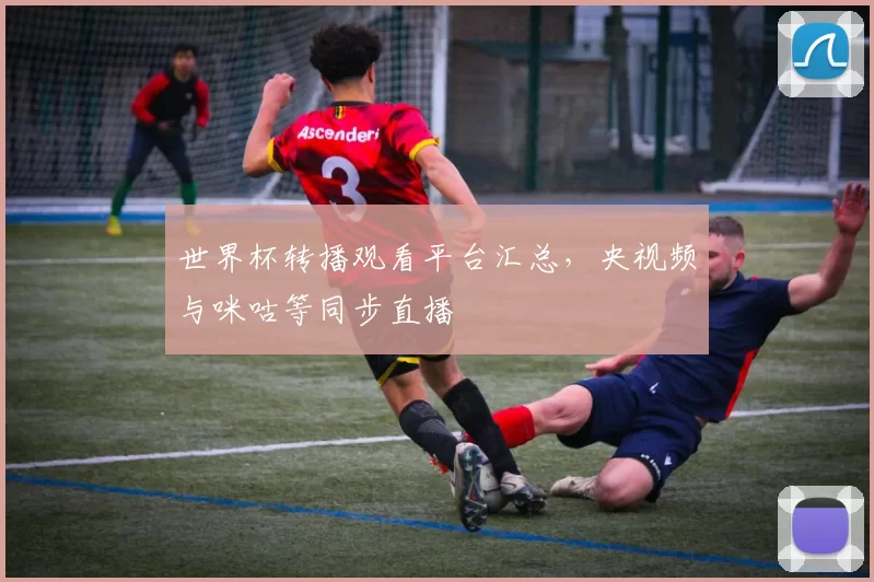 世界杯转播观看平台汇总，央视频与咪咕等同步直播