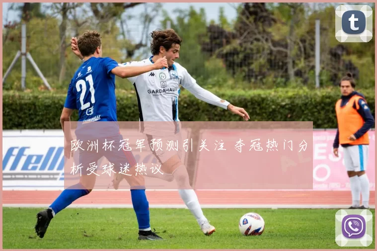 欧洲杯冠军预测引关注 夺冠热门分析受球迷热议