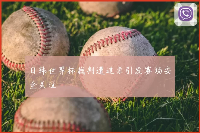日韩世界杯裁判遭追杀引发赛场安全关注