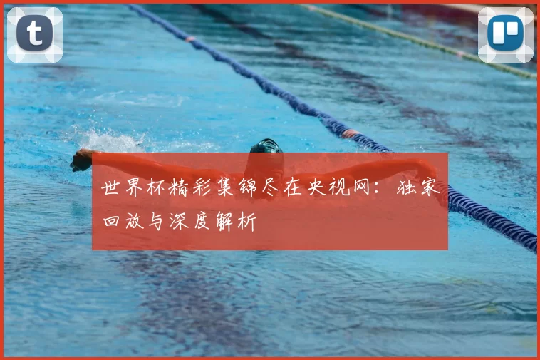 世界杯精彩集锦尽在央视网:独家回放与深度解析