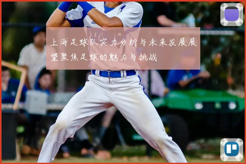 上海足球队实力分析与未来发展展望聚焦足球的魅力与挑战