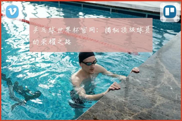 乒乓球世界杯官网:揭秘顶级球员的荣耀之路
