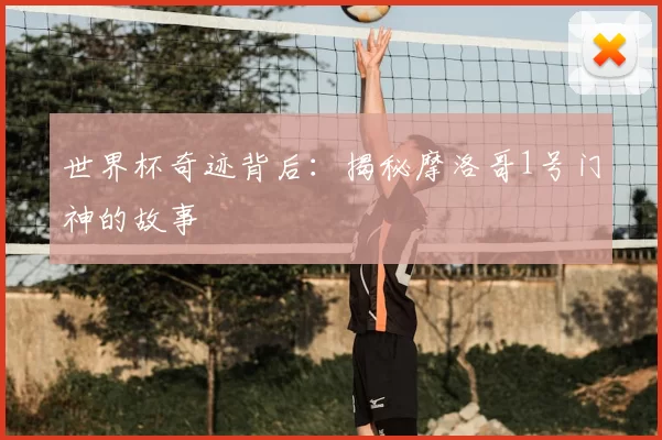 世界杯奇迹背后:揭秘摩洛哥1号门神的故事