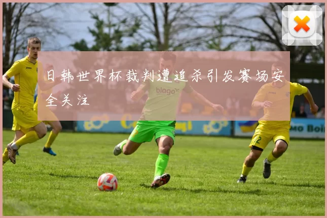 日韩世界杯裁判遭追杀引发赛场安全关注