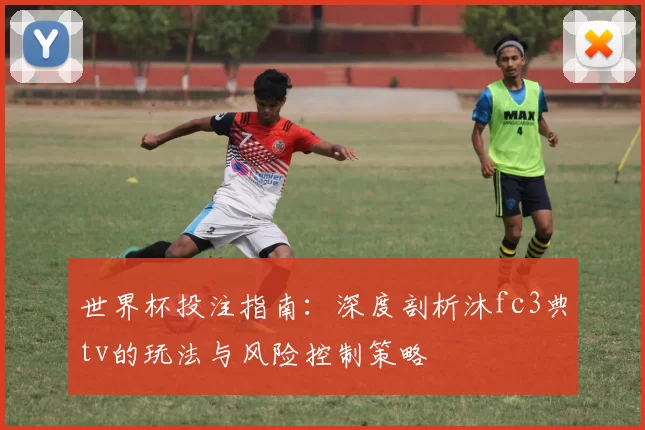 世界杯投注指南:深度剖析沐fc3典tv的玩法与风险控制策略