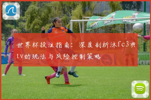 世界杯投注指南:深度剖析沐fc3典tv的玩法与风险控制策略